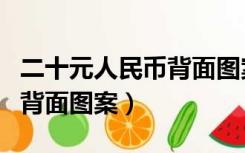 二十元人民币背面图案是什么（二十元人民币背面图案）