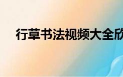 行草书法视频大全欣赏（行草书法宝典）