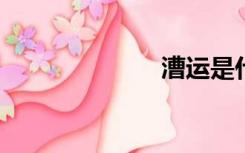 漕运是什么意思