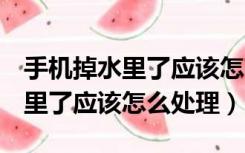 手机掉水里了应该怎么处理oppo（手机掉水里了应该怎么处理）