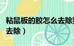 粘鼠板的胶怎么去除狗身上（粘鼠板的胶怎么去除）