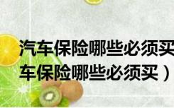 汽车保险哪些必须买这样买能省2000元（汽车保险哪些必须买）
