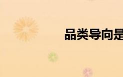 品类导向是什么意思？