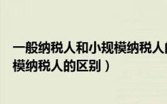 一般纳税人和小规模纳税人的区别表格（一般纳税人和小规模纳税人的区别）