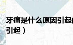 牙痛是什么原因引起的图片（牙痛是什么原因引起）