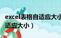excel表格自适应大小怎么调整（excel表格自适应大小）