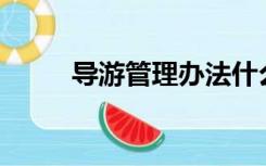 导游管理办法什么时候正式实施？