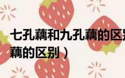 七孔藕和九孔藕的区别是什么（七孔藕和九孔藕的区别）