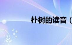 朴树的读音（朴树的女友）