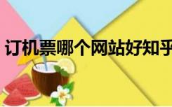 订机票哪个网站好知乎（订机票哪个网站好）