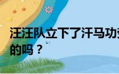 汪汪队立下了汗马功劳第二季漫画完成还有别的吗？