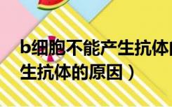 b细胞不能产生抗体的原因是（b细胞不能产生抗体的原因）
