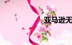 亚马逊无货源模式