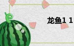 龙鱼1 1 1调和油