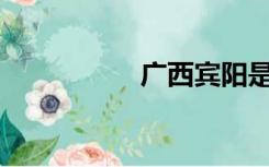 广西宾阳是贫困县吗？