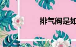 排气阀是如何工作的？