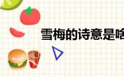 雪梅的诗意是啥（雪梅的诗意）