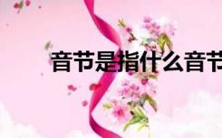 音节是指什么音节（音节是指什么）