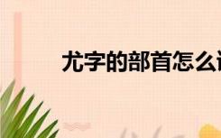 尤字的部首怎么读（尤字的部首）