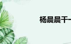 杨晨晨干一晚多少钱