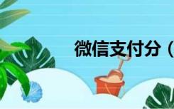 微信支付分（微信支付分）