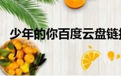 少年的你百度云盘链接（少年的你百度云资源）