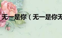 无一是你（无一是你无一不是你是什么意思）
