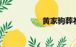 黄家驹葬礼到场明星