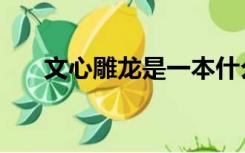 文心雕龙是一本什么书（文心读什么）
