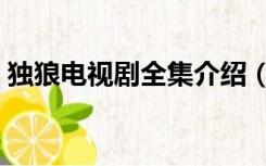 独狼电视剧全集介绍（独狼电视剧全集下载）