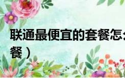 联通最便宜的套餐怎么申请（联通最便宜的套餐）