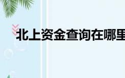 北上资金查询在哪里看（北上资金查询）