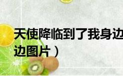 天使降临到了我身边gif（天使降临到了我身边图片）