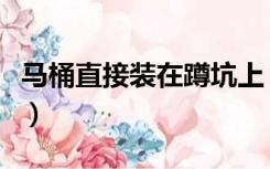 马桶直接装在蹲坑上（马桶直接装在蹲便器上）