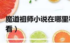 魔道祖师小说在哪里看（魔道祖师小说在哪里看）