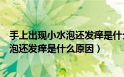 手上出现小水泡还发痒是什么原因用什么药（手上出现小水泡还发痒是什么原因）