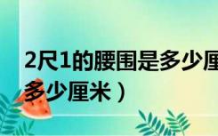 2尺1的腰围是多少厘米女士（2尺1的腰围是多少厘米）