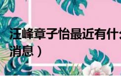 汪峰章子怡最近有什么消息（汪峰章子怡最新消息）