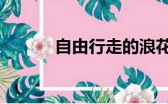 自由行走的浪花（自由行签证）