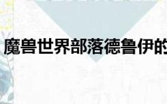 魔兽世界部落德鲁伊的水兽耐力挂件在哪里？
