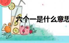 六个一是什么意思（六个一是什么）