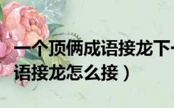 一个顶俩成语接龙下一句是什么（一个顶俩成语接龙怎么接）