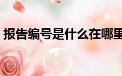 报告编号是什么在哪里找（报告编号是什么）