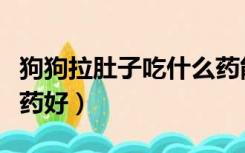 狗狗拉肚子吃什么药能好（狗狗拉肚子吃什么药好）