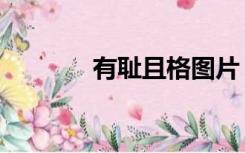 有耻且格图片（有耻的成语）