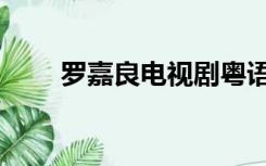 罗嘉良电视剧粤语（罗嘉良电视剧）