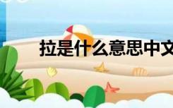 拉是什么意思中文（拉是什么意思）