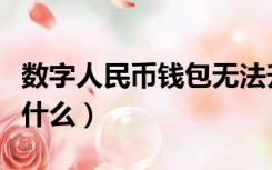 数字人民币钱包无法升级（数字人民币钱包是什么）