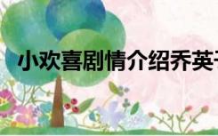 小欢喜剧情介绍乔英子（小欢喜剧情介绍）