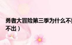 勇者大冒险第三季为什么不拍了（勇者大冒险第三季为什么不出）